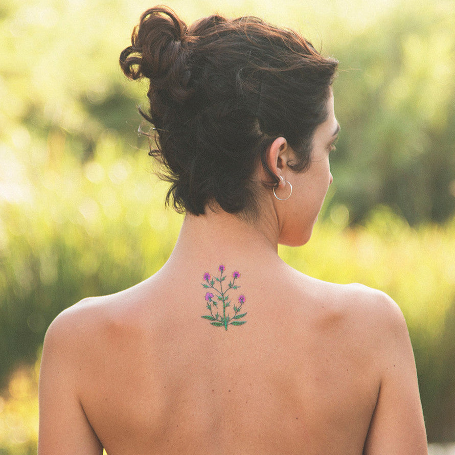 VOYNICH PLANT